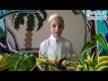мальчик-муслим о столпах ИСЛАМА И ИМАНА