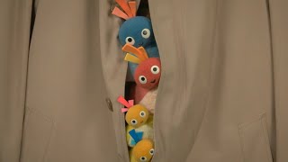 Twirlywoos nerede saklanıyor? | Twirlywoos | Çocuklar İçin Çizgi Filmler | WildBrain Çocuklar