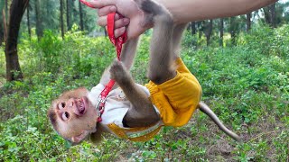 When The Cameraman Becomes Pupus Best Friend In The Jungle