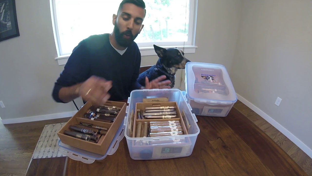 Pupperdor Walkthrough!