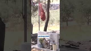 Yangında Sadece Şehit Mezarı Yanmadı