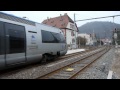 ter