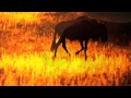 Kolokani Video preview