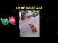 Thánh Lồng Tiếng | LU Mê Gái Bỏ Nhà