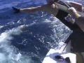 Utri Fishing Odyssey NZ - Michael Catches Kingfish