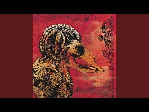 This Curse Video