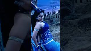 Asin Hot Navel Actress Navel Hot Mallu Actress Hot