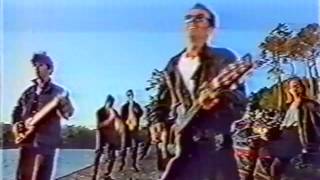 Watch Stranglers Shakin Like A Leaf video
