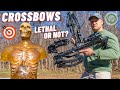 How Lethal Is A Crossbow ??? 🏹