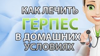 Чем лечат печень собаке