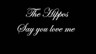 Watch Hippos Say You Love Me video