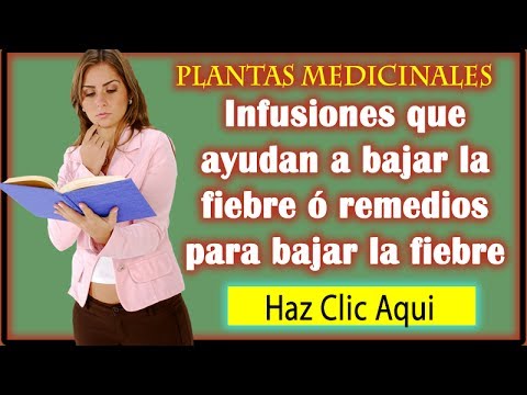 Infusiones que ayudan a bajar la fiebre o remedios para Infusiones que ayudan a bajar la fiebre o remedios para