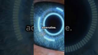 The Science Of Why Some Peoples Eyes Turn Black When Angry