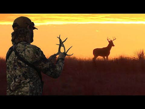 SZN | Hunting, Public Land Adventure, Travel...