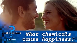 What Chemical Makes You Happy? It's Not Just Dopamine And Serotonin. | Just Curious