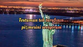 Cris Cab - Englishman In New York Türkçe Çeviri