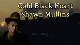 Watch Shawn Mullins Cold Black Heart video