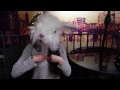 WHAT GIRLS DO WHEN BORED