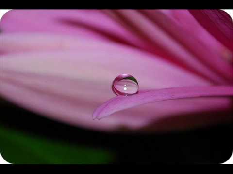 Aankhon Mein Base Ho Tum - Kumar Sanu Full Song