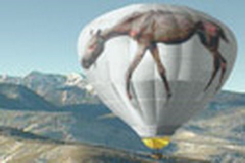 Man Who Crossed US In Balloon Only Talks About Horse Abuse