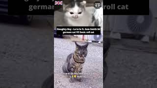 La La La La Laaaa Song Cat Sonic Roll Vs German Cat