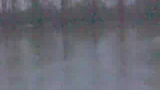 Zabjak - Zov Divljine 2008