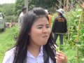 กองทุนพัฒนาบทบาทสตรี