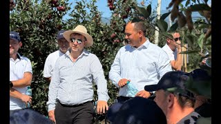 Alexandru Ciurupita Cu Îngrășămintele Timac Agro Am Crescut Recolta De Mere Cu Peste 20 De Toneha