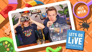 Amazing Pet Skills! | Pets Week 2 | #66 LET'S GO LIVE with Maddie and Greg