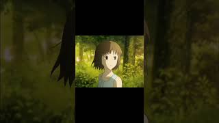 Into The Forest Of Fireflies Light
