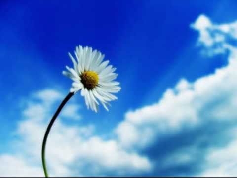 Love Movement (Ulrich Schnauss Remix)