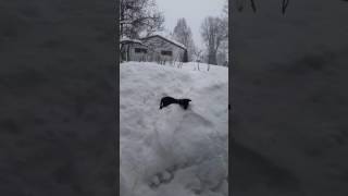 Rylee In The Snow