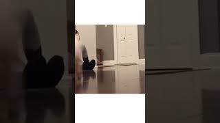 Hank Is In Hurry