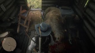 Cabin Surprise! Red Dead Redemption 2 Single Player Gameplay