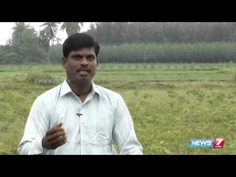  Tips to grow 'Kiranthi nayagam' & 'Silanthi nayagam' | Poovali | News7 Tamil |
