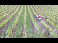 Traitement phytosanitaire au drone AgroFly dans le vignoble suisse