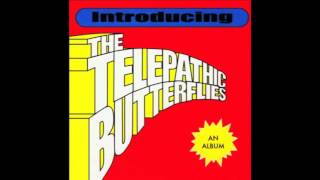 Watch Telepathic Butterflies All Very Hoopla video