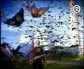 The Cranberries - Just my Imagination