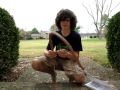 bullwhip - history bullwhip - history
