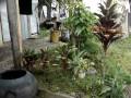 Isabela Province People And Culture | RM. Isabela Province People And Culture | RM.
