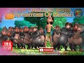 Jungle book | Mowgli | MEGA EPISODE 39 | Animation Series | Adventures Of Mowgli @powerkidsworld  ​