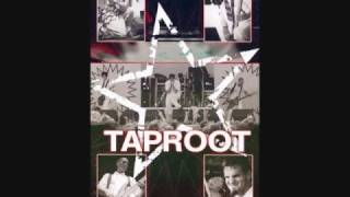 Watch Taproot Free video
