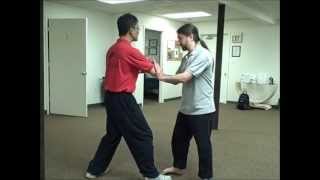 Internal Exchange w/ Sifu Brian C. Allen and Sifu Lan Tran