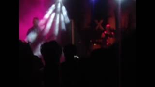 Watch Animal Preso Del Olvido video