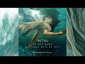Netsu - Of Our Gods No Trace Will Be Left [Full Album]