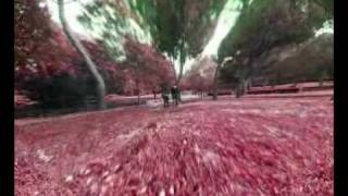 Watch Einsturzende Neubauten Ich Hatte Ein Wort video