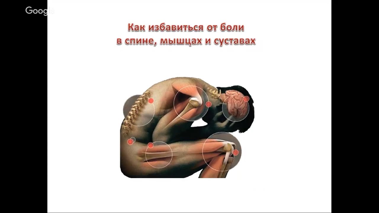 Из-за чего могут болеть мышцы спины Из-за чего могут болеть мышцы спины