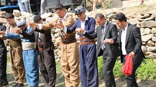 Hakkari Çığlı Köyü Düğünleri Gunde Aşut Govenda Segavi Evdişo 2024 Kurdish Wedding