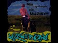 vyhledávání