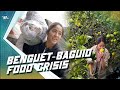 WIA Episode 4 | BENGUET-BAGUIO: Exploring the Food Crisis